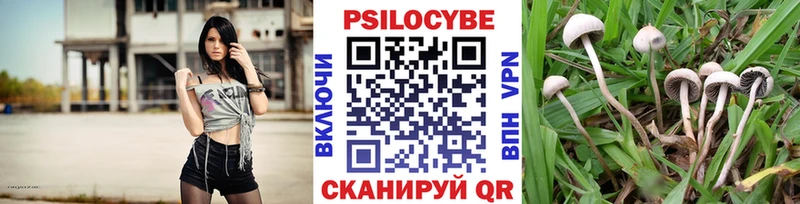 Галлюциногенные грибы Cubensis  Барыш 